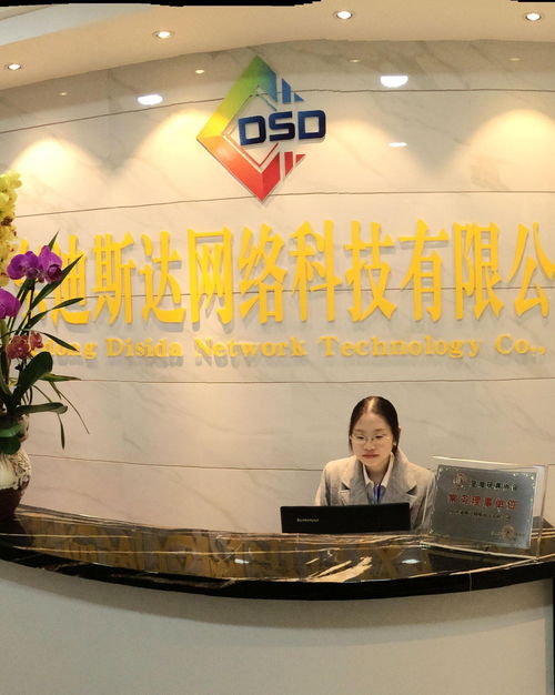 广东迪斯达网络科技 引领信息技术咨询服务新潮流
